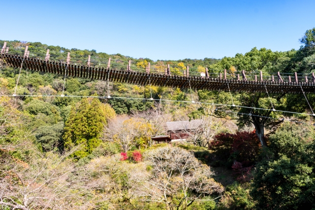 八代郡　熊本県