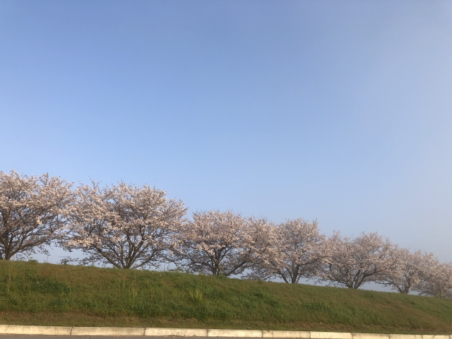 山鹿市