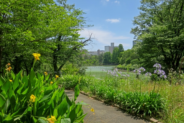吹田市